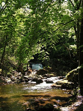 N°9 Le Ruisseau de Candesoubre