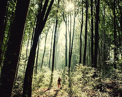 Randonnée de la forêt de Montagnol