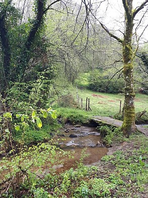 Sentier boucle du Carreriou