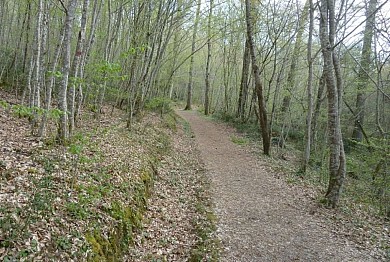 Sentier de découverte de la forêt de Sivens