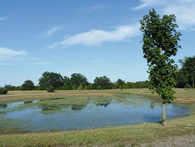Sentier des demoiselles