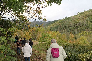 Sentier des vignes et des vergers