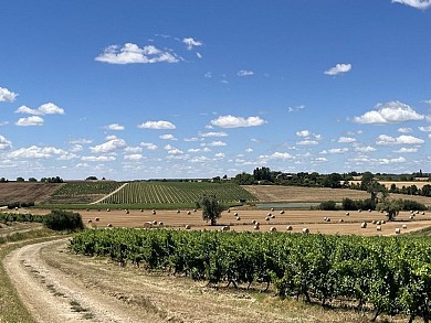 Circuit VTT 19 Lavoirs vignobles et châteaux