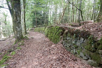 Circuit VTT n°23 : Le tour de Saint-Merd-de-La ...