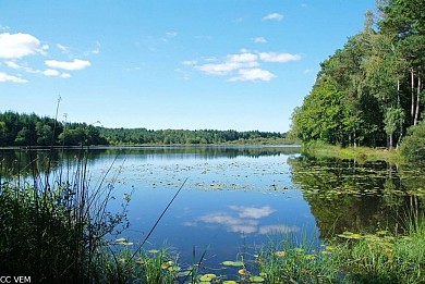 Circuit VTT n°27 : Au bord des Etangs