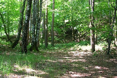 Circuit VTT n°29 : Les trésors de Lapleau