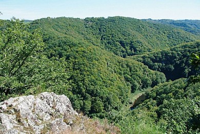 Circuit VTT n°30 : Dans les pentes de la Luzège
