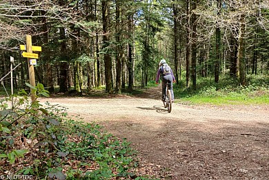 Circuit VTT n°8 : Autour de la Grènerie