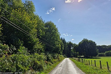 Circuit VTT n°9 : Forêt de Meilhards