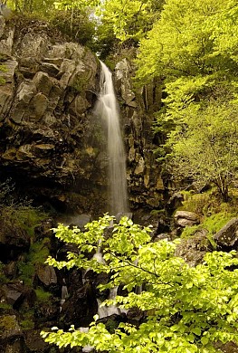 Cascade du Devez, circuit court