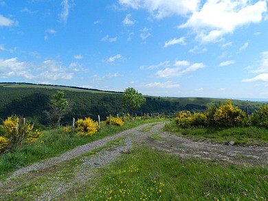 La croix du Pal