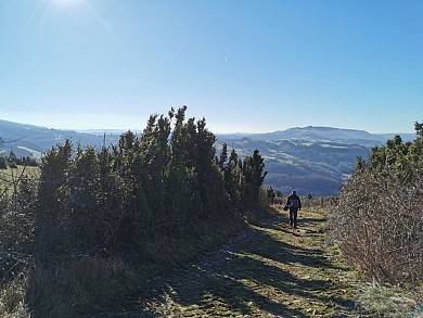 Le Puech de Barry