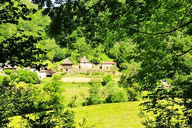 VTT FFCT du Carladez - La forêt de Murols