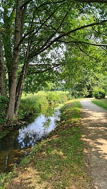 Sentier de la Coulée verte - Chantonnay