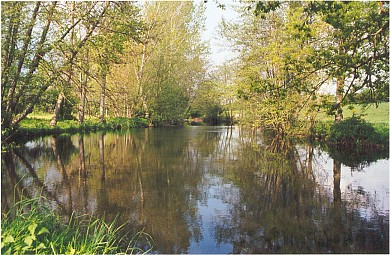 Sentier du Donnet - Chantonnay