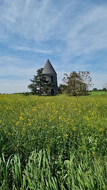 Sentier du Moulin - Chantonnay