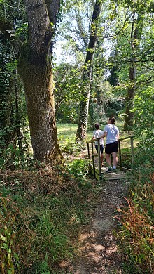 Sentier des Bruyères - Saint Hilaire le Vouhis