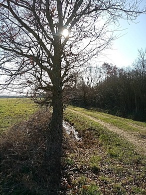 TOUR DU LHERM