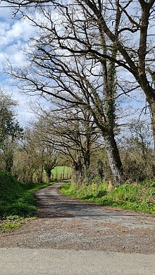 Sentier de Drapelet - Saint Germain de Prinçay