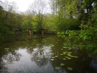 Sentier de la Roche Marnoire - Sainte Cécile