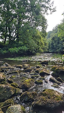 Sentier des Côteaux - Chantonnay