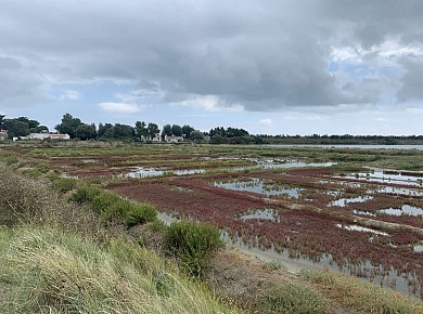 Tour de l'île de Ré