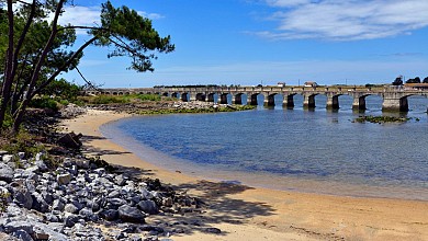 Anglet - Entre plage et forêt : 1h