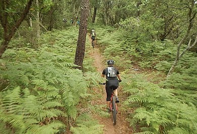Circuit de la RandOcéane 25 km du Club VTT de  ...