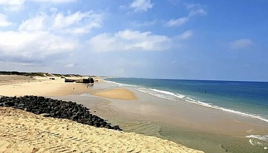 Anglet - Hossegor : Sortie à la journée