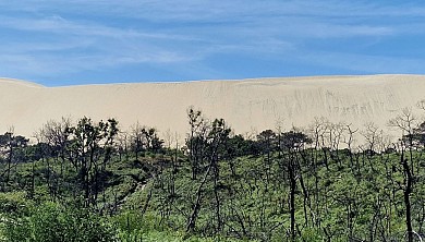 Arcachon et la Teste de Buch en passant par la ...