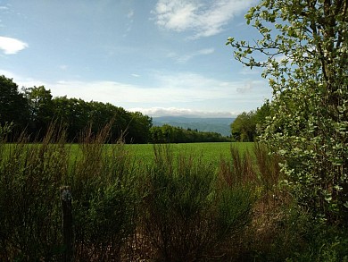 Les Hauts de Saint-Baudille trail