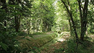 N°18 Rouge: Le grand tour du massif forestier  ...
