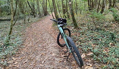 N°19 Noir: De la forêt de Cardeilhac au châtea ...