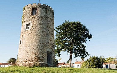 Les Pins - Saint Mathurin