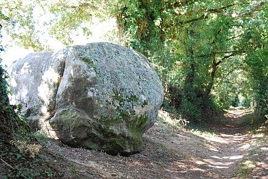 LE POIRÉ-SUR-VIE - Le Sentier des Farfadets