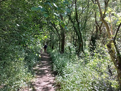 LE POIRÉ-SUR-VIE - Le Sentier de la Boutière