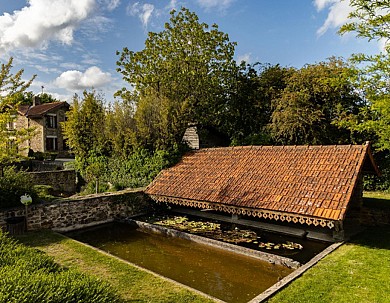 Sentier de la Rabretière - Les Essarts, Essart ...