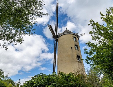 Sentier des Chênes - Boulogne, Essarts-en-Bocage
