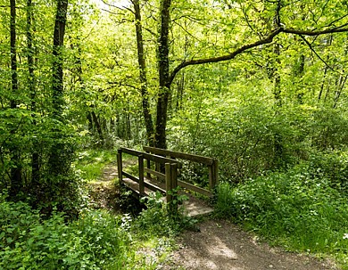 Sentier de l'Herbergement - Sainte-Florence