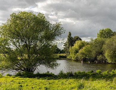 Sentier du Bois Roland, boucle de 14 km - L'Oie
