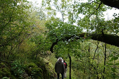 Sentier de Puymège - Queyssac-les-Vignes