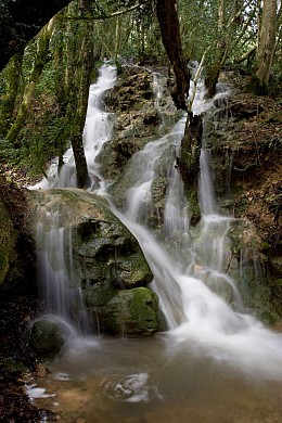 Sentier découverte de Bonnan