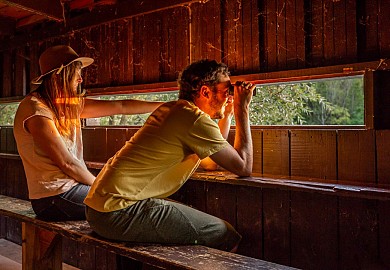 Le chemin des oiseaux