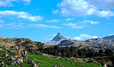 N°14 Barétous - Tête Sauvage