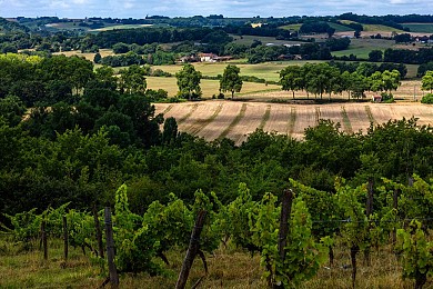 Saint-Jean-Poutge : Vallée de la Baïse et Coll ...