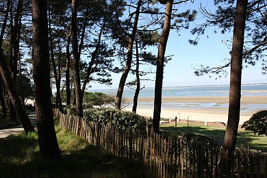 Balade à roulettes : Promenade Robert Fleury - ...