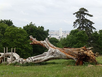 Balade à roulettes : Le parc Palmer