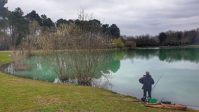 Balade à roulettes : Le lac vert