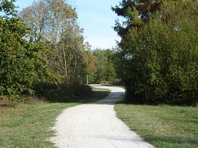 Balade à roulettes : Le Bois de Bordeaux 2 IMP ...