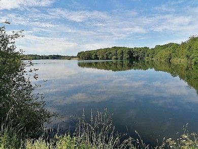Sentier de Rochereau - Sigournais